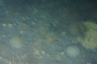 
DSC00257